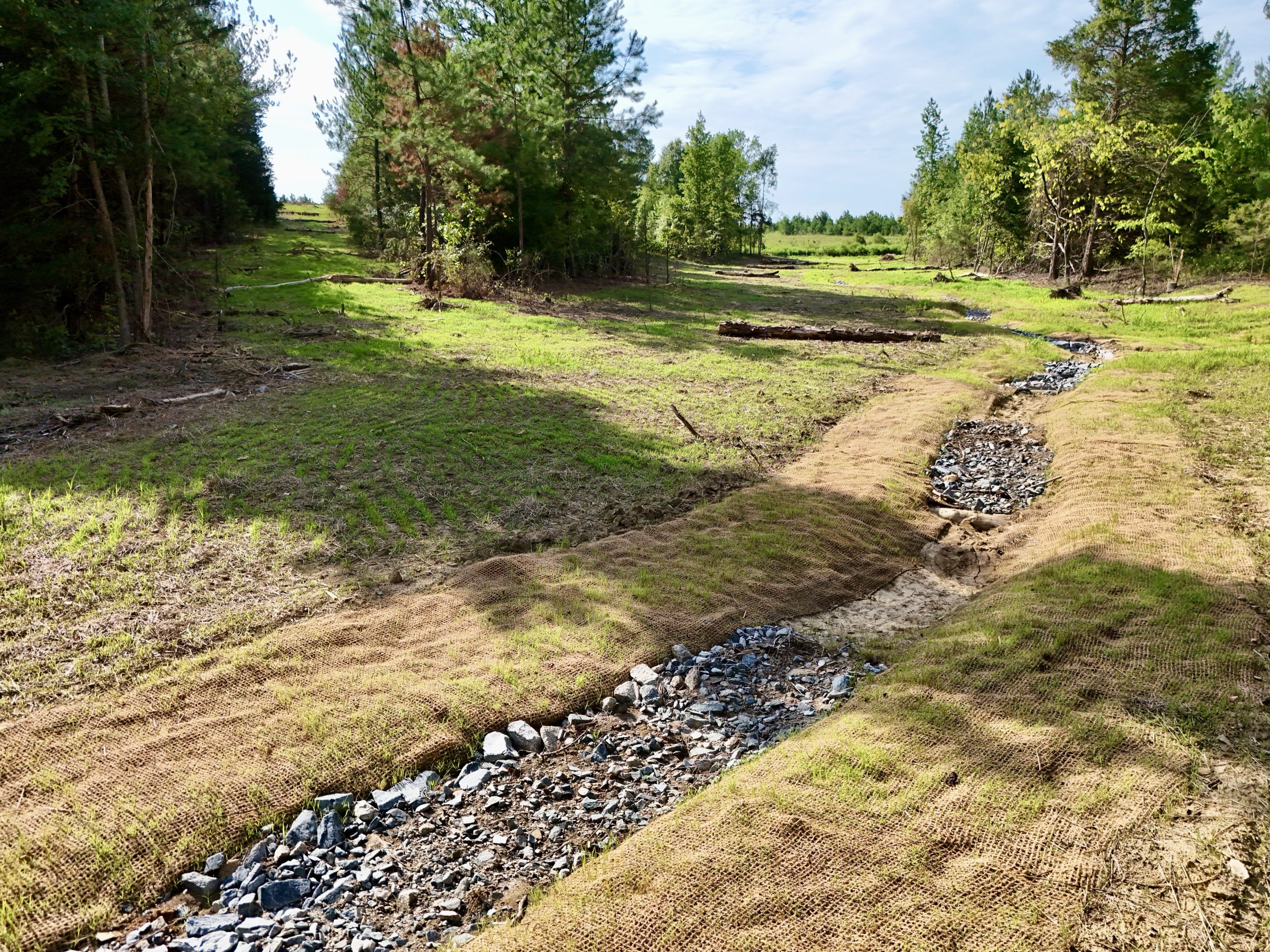 stream and wetland restoration and mitigation