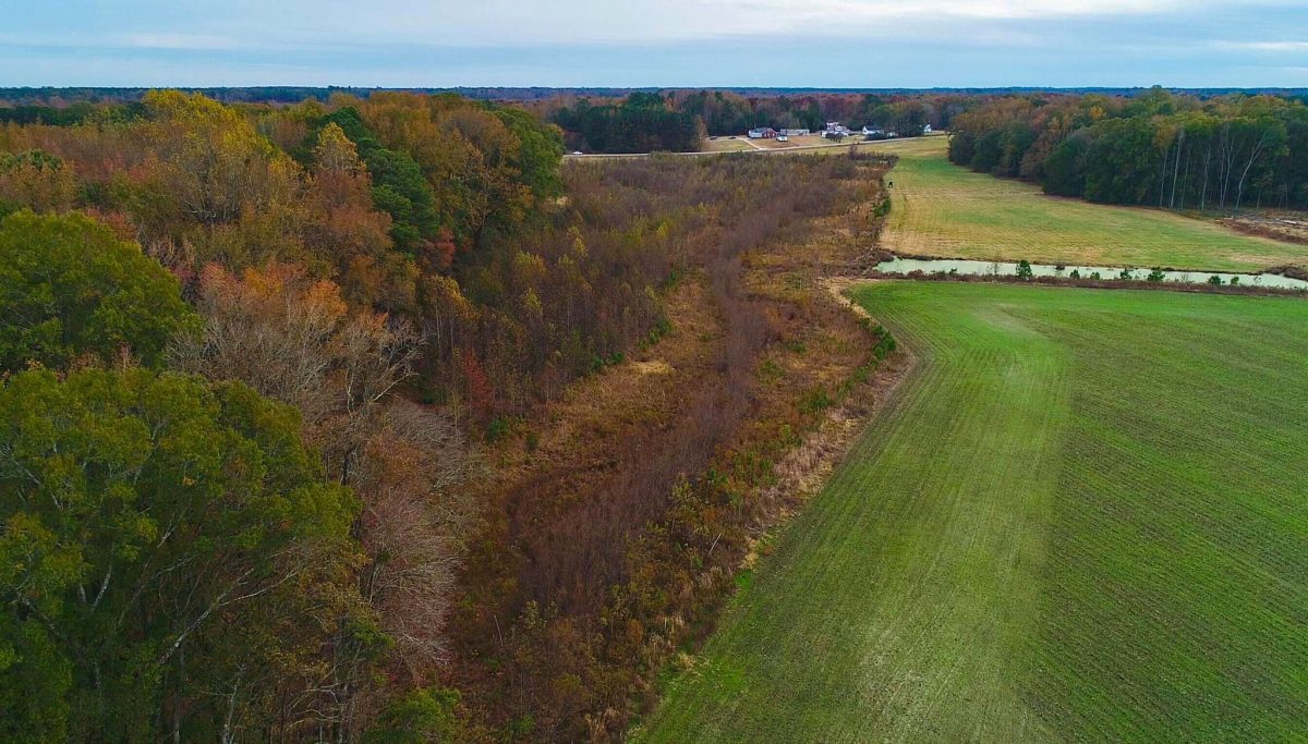 Wright Contracting river mitigation